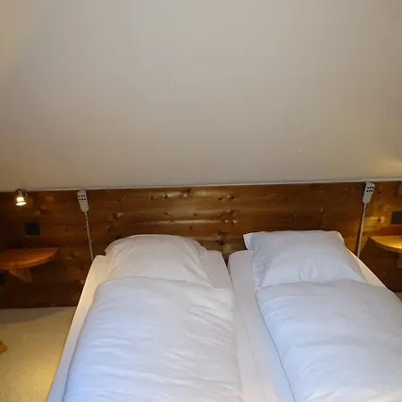 公寓 Les Terrasses Des Glaciers - 2 *